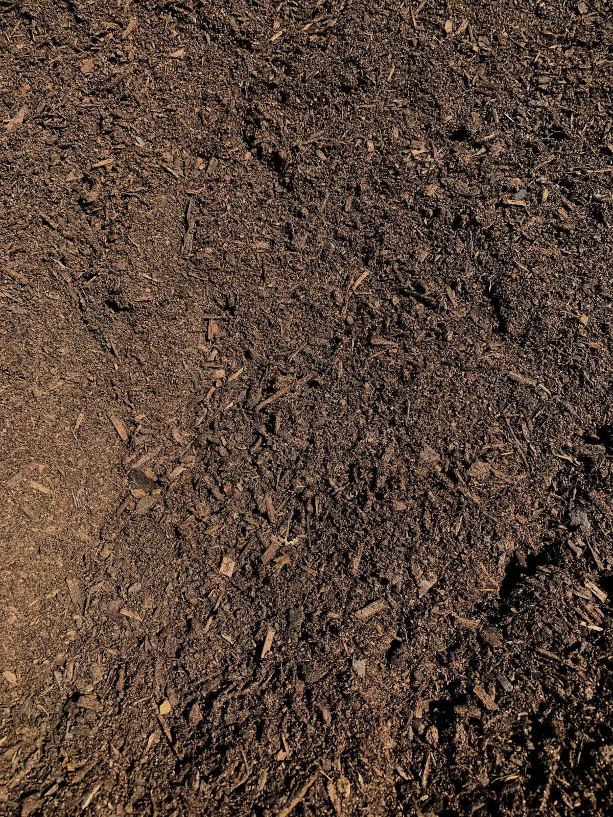 Premium Organic Compost