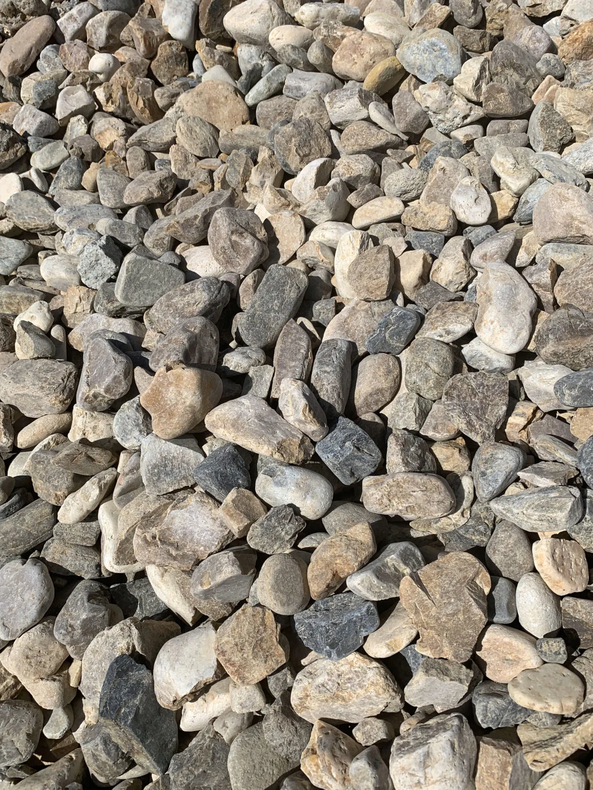 Smooth Brown 1½ - 2"